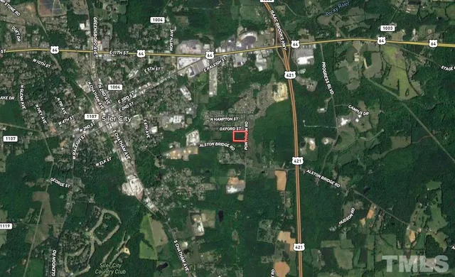 a close up of a tree in a garden