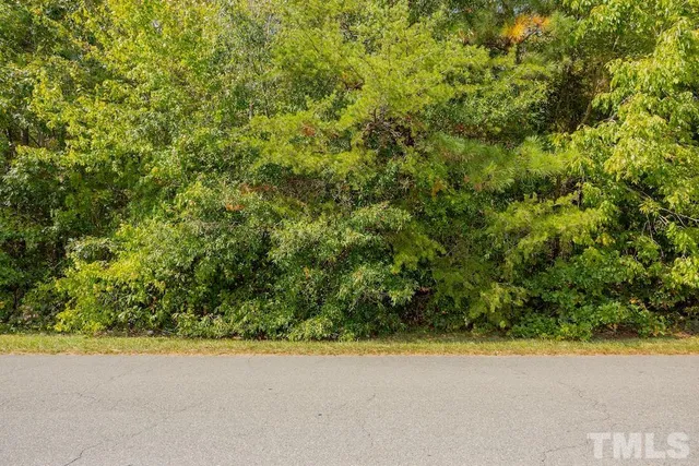 a view of a field with an ocean view