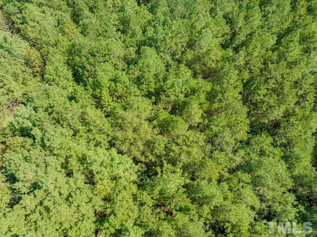 a view of a garden with a bench