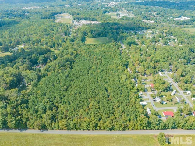 a view of a lush green forest with a lake