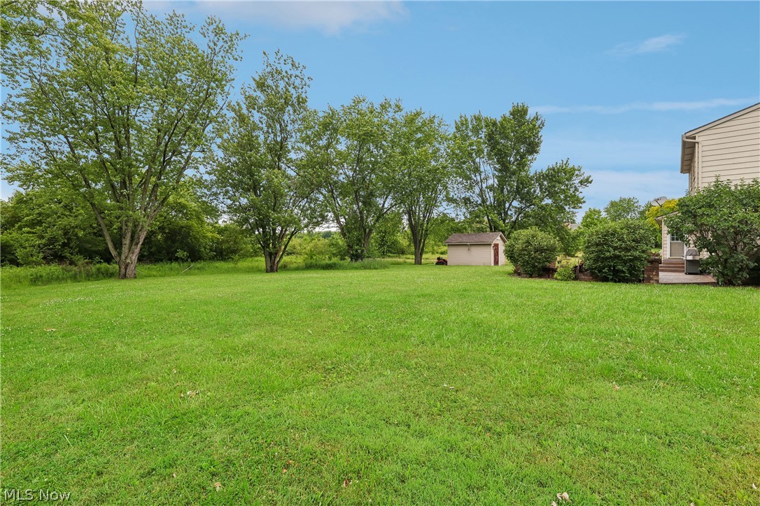 4702 Alger Road Richfield, OH 44286 - Photo 41 of 46 Large back yard with trees and shed