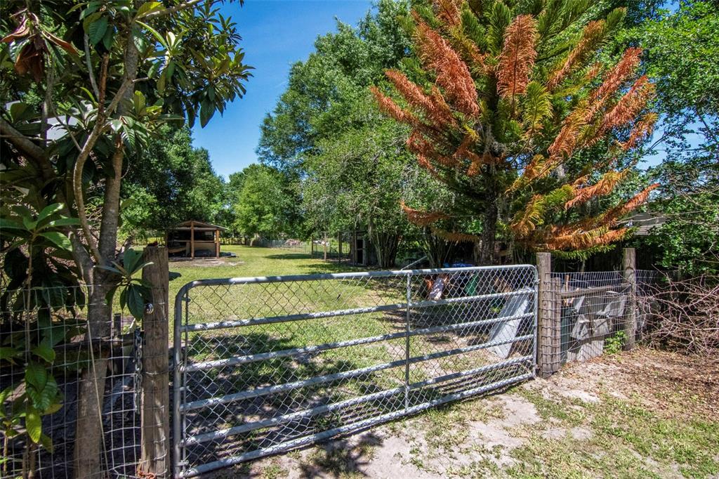 6230 Bob Head Road Plant City, FL 33565 - Photo 8 of 24