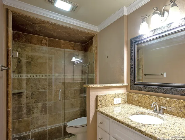 a bathroom with a granite countertop sink a toilet a mirror and shower