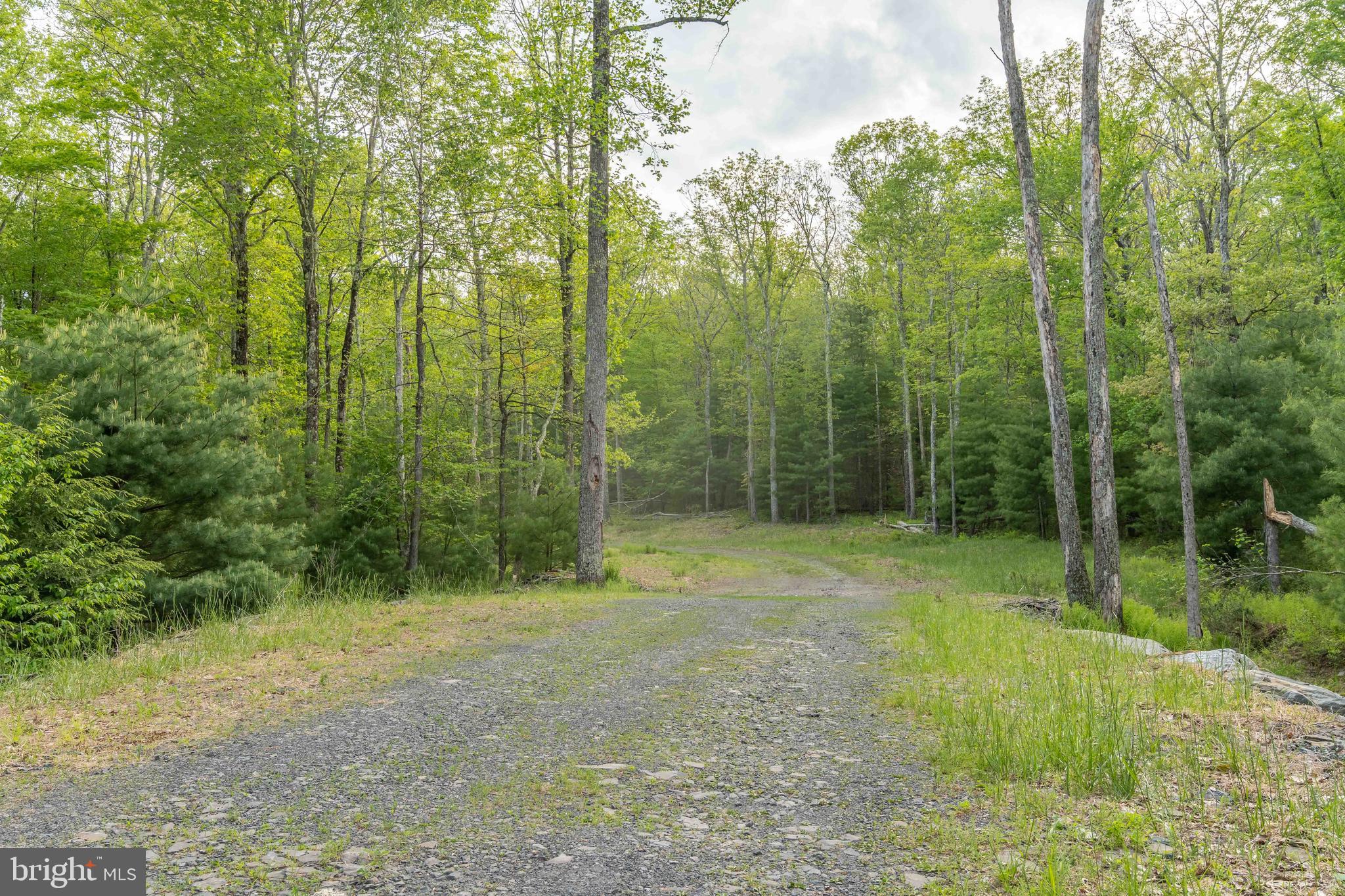 0 Cummins Hill Road Matamoras, PA 18336 - Photo 87 of 116
