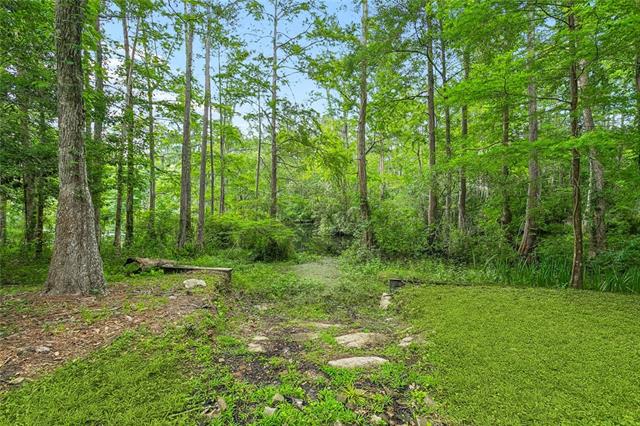 35175 Donny Road Pearl River, LA 70452 - Photo 26 of 29