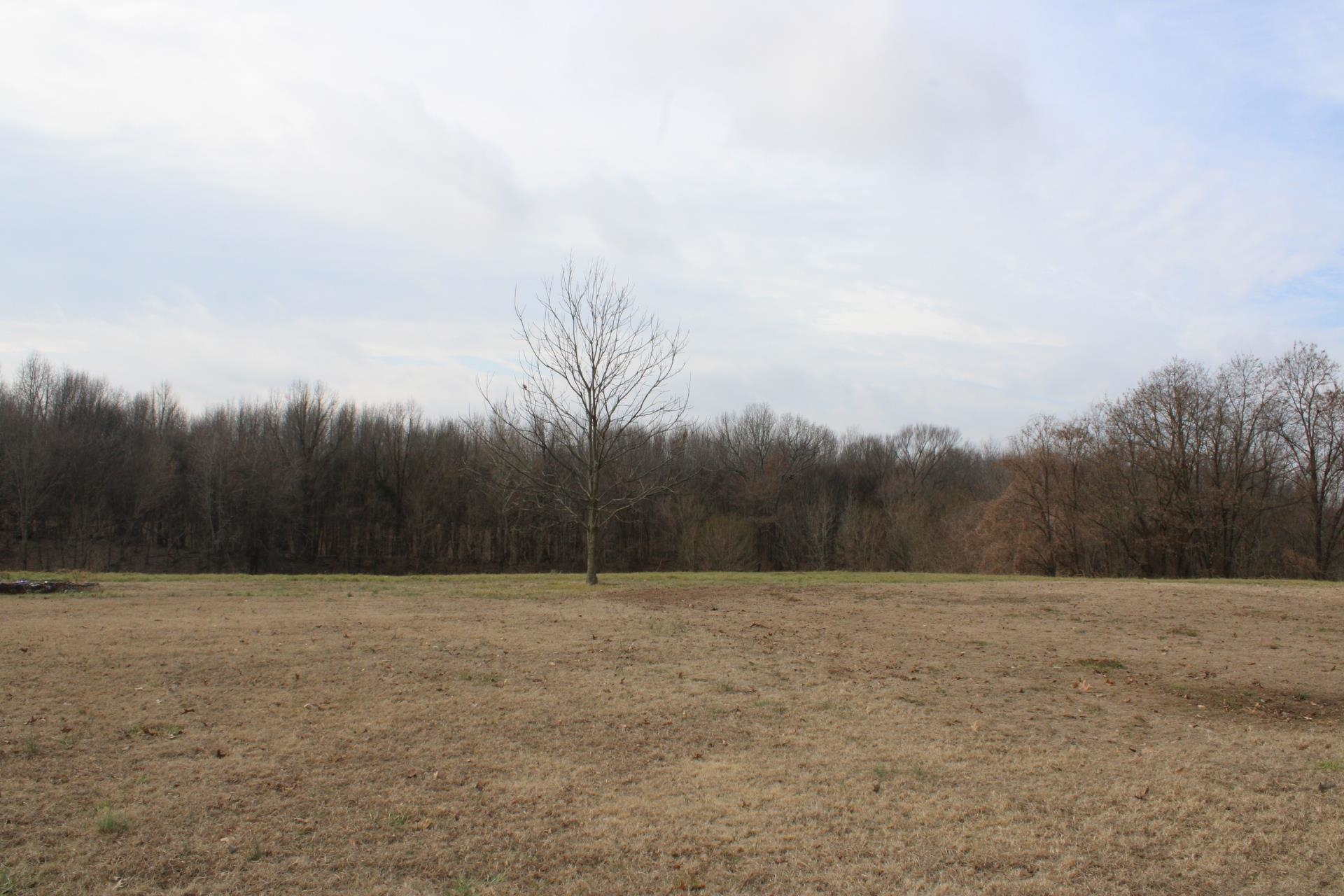 981 Durhamville Road Ripley, TN 38063 - Photo 38 of 40