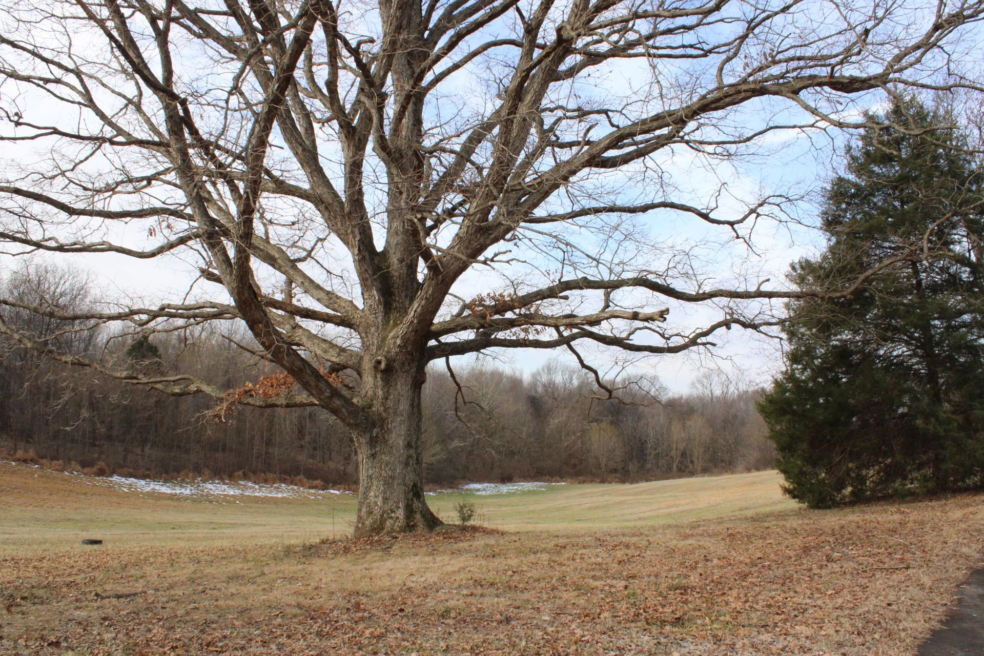 981 Durhamville Road Ripley, TN 38063 - Photo 40 of 40