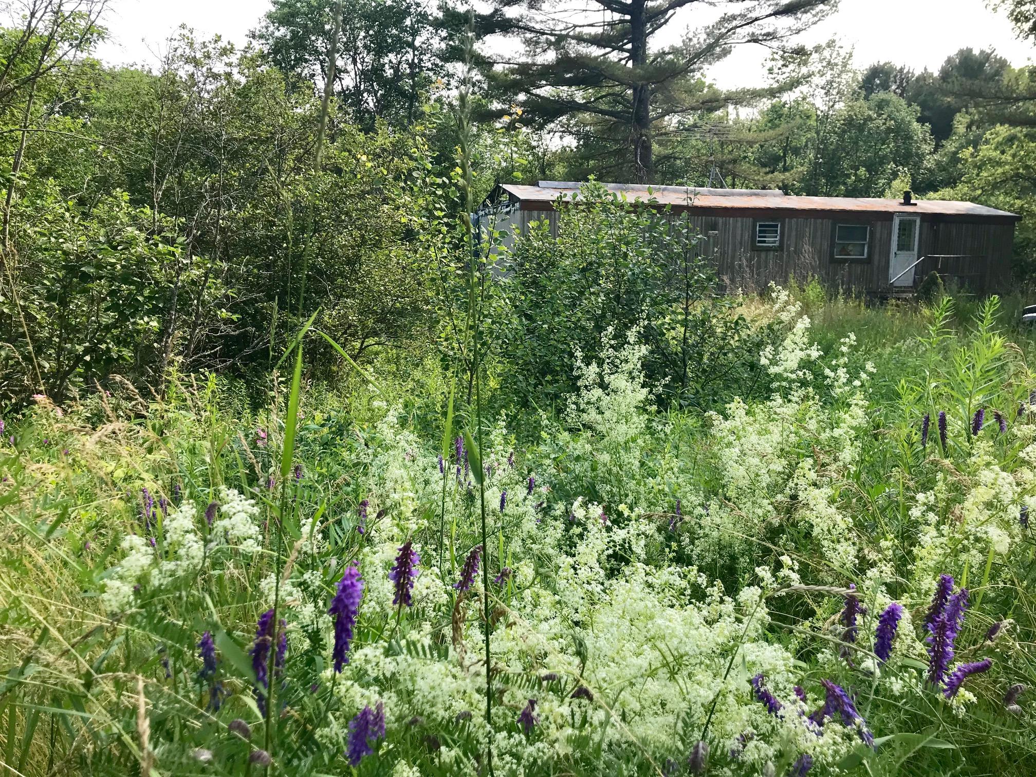 322 North Searsport Road Prospect, ME 04981 - Photo 3 of 5 IMG_3904