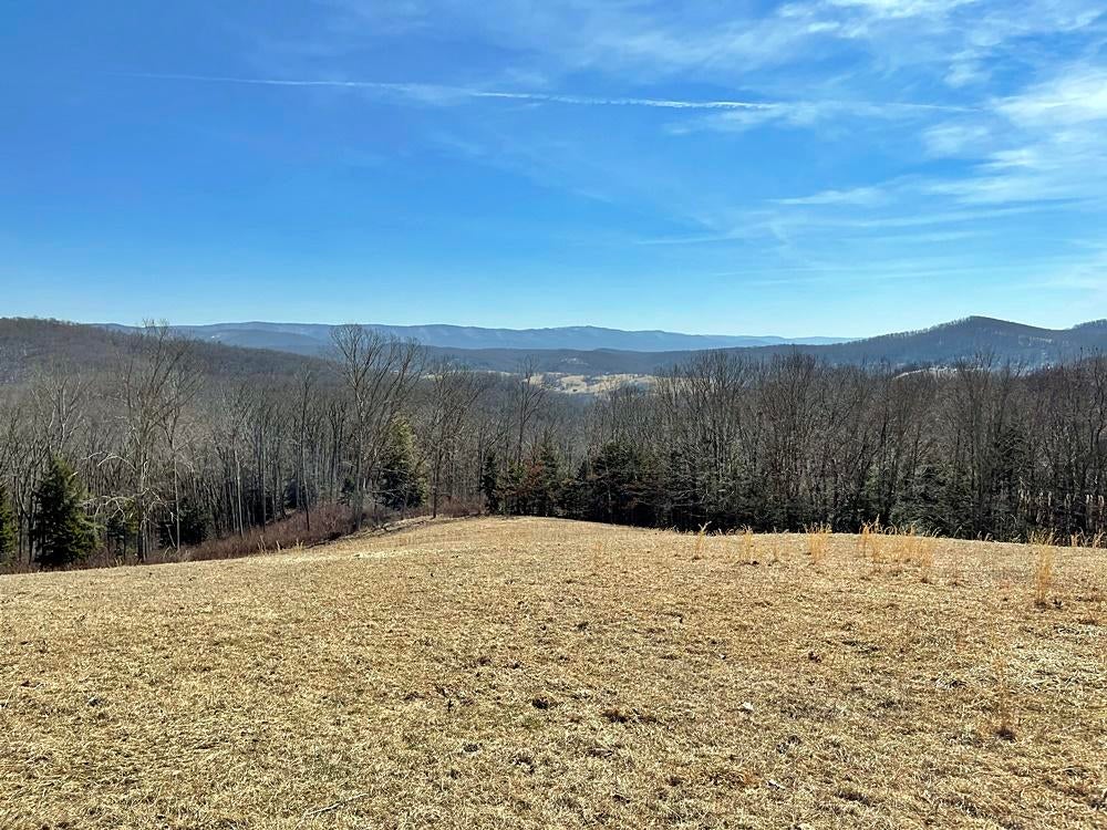 835 Greathouse Road Bartow, WV 24920 - Photo 26 of 34 Gallery Image 26