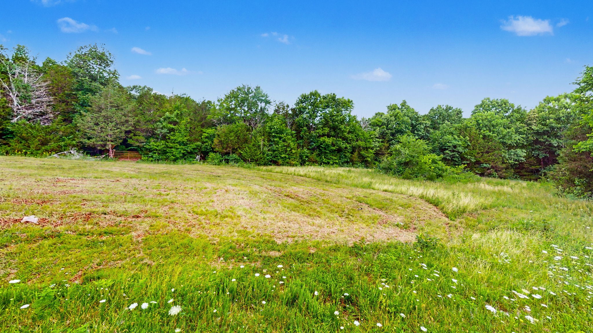 0 Morgan Road Rockvale, TN 37153 - Photo 6 of 24