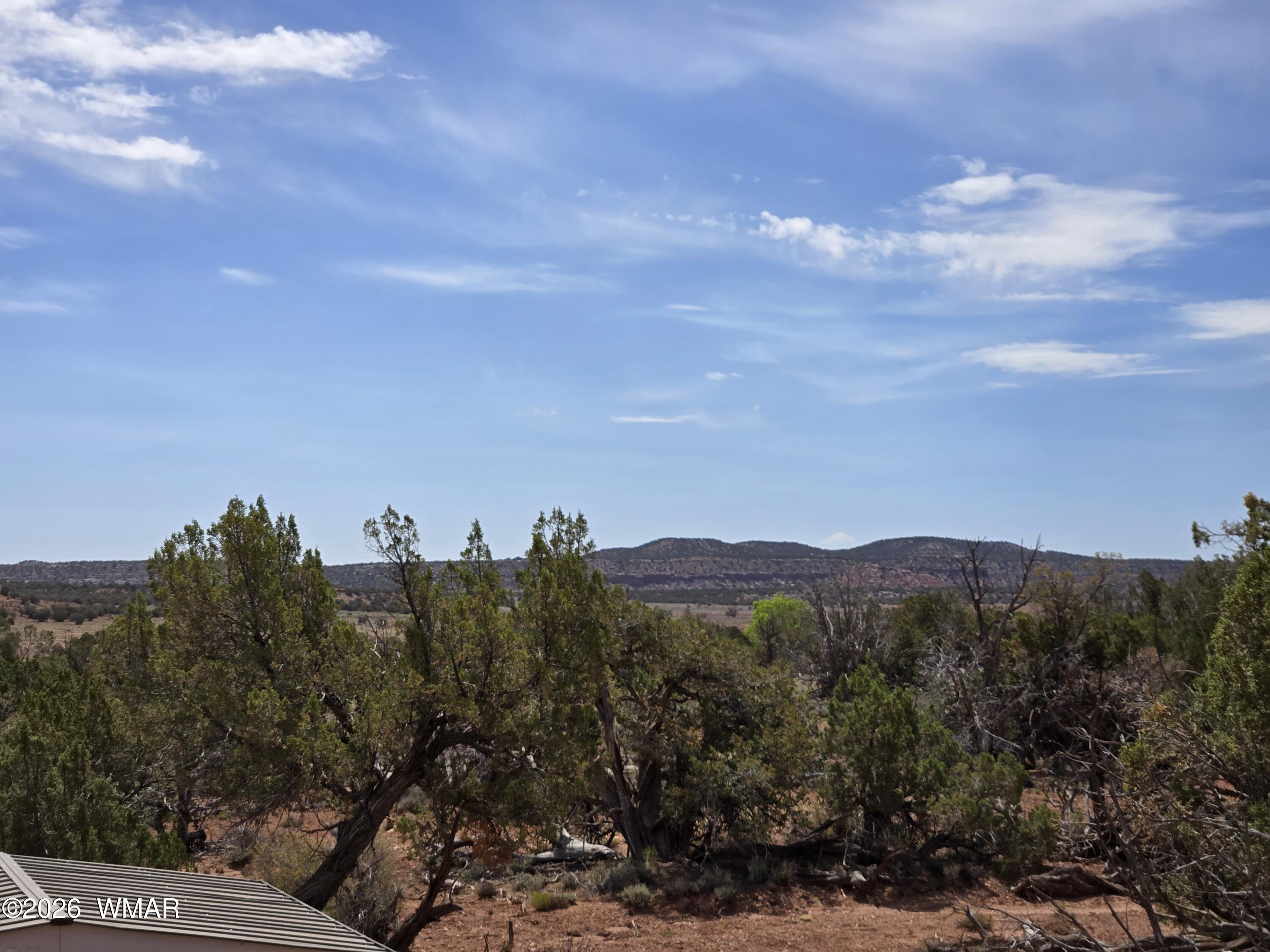 9255 Tonto Road Snowflake, AZ 85937 - Photo 3 of 9