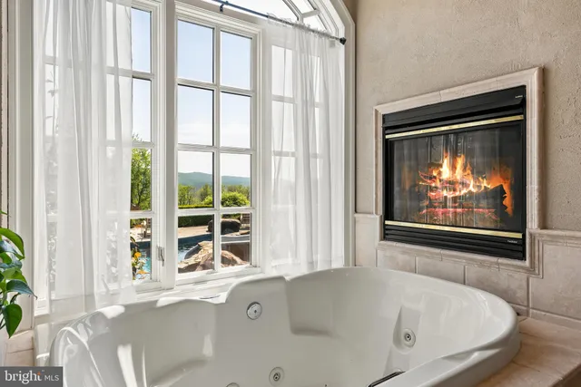 a view of a trees with a yard