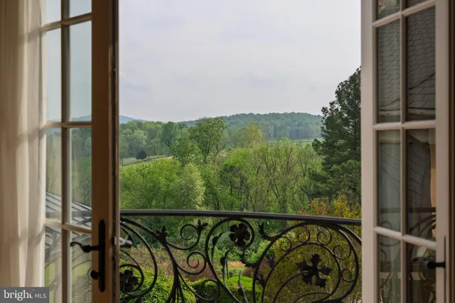 a view of a lush green forest with trees and a houses