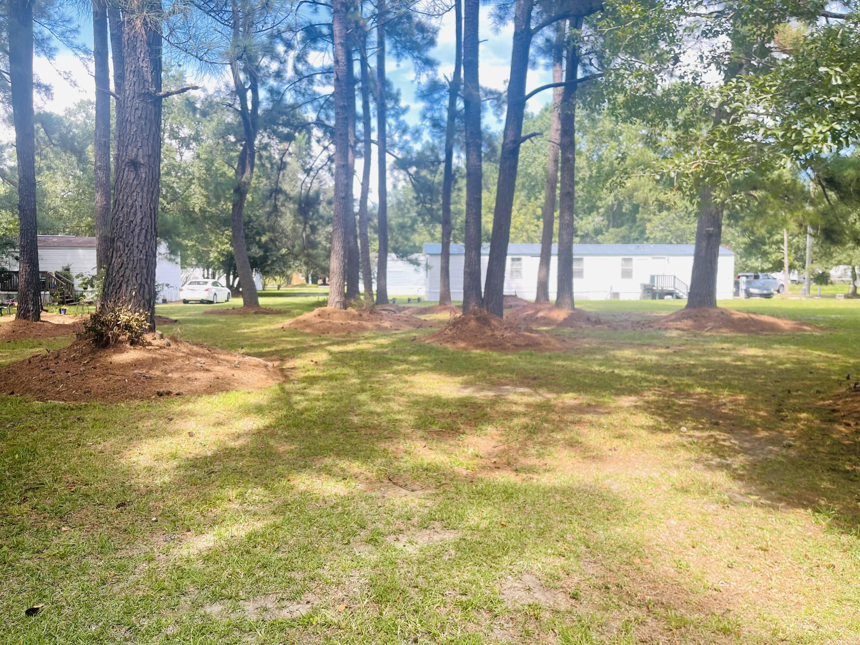 296 Church Road St. Stephen, SC 29479 - Photo 6 of 10 6