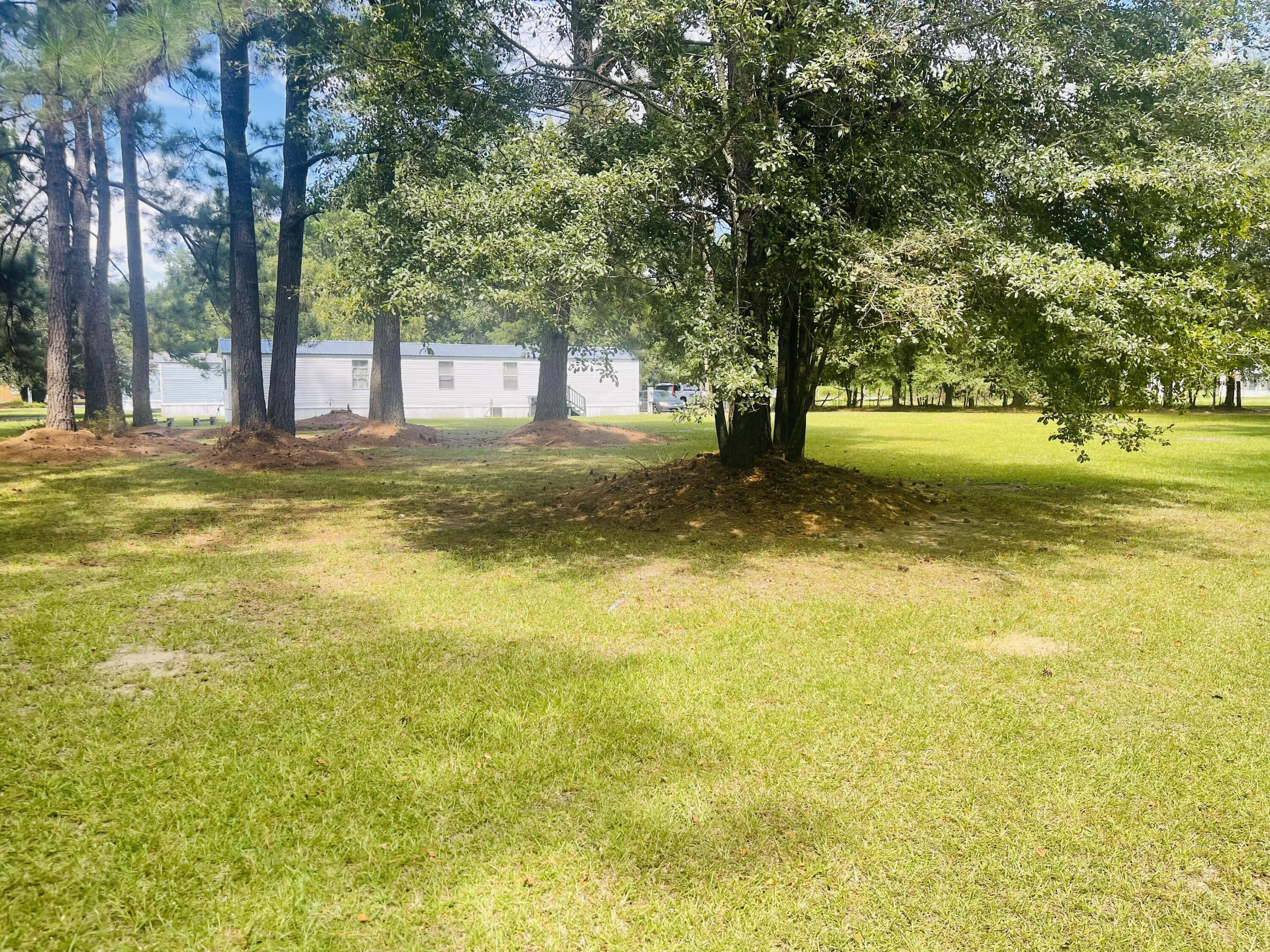296 Church Road St. Stephen, SC 29479 - Photo 7 of 10 7