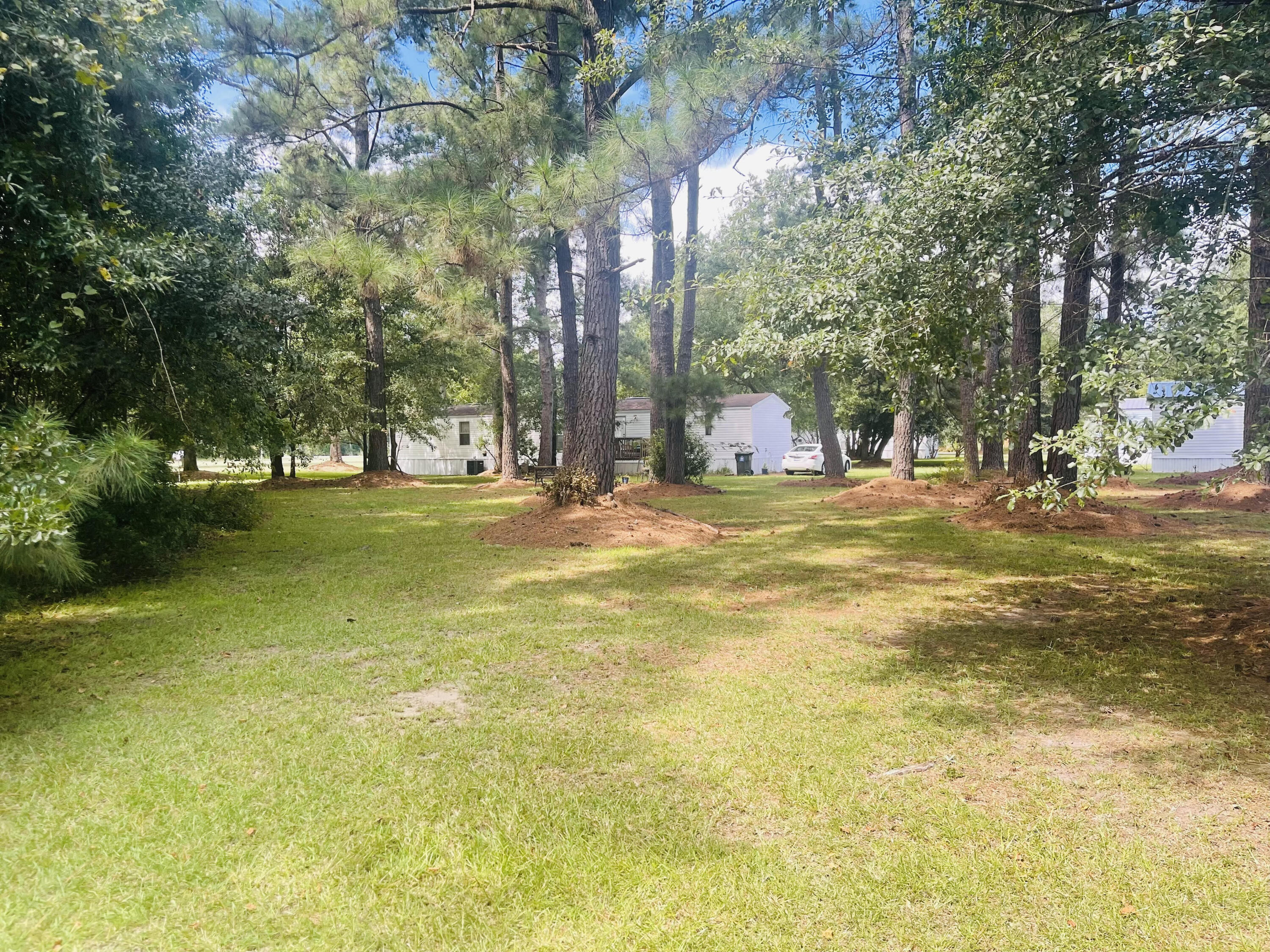 296 Church Road St. Stephen, SC 29479 - Photo 8 of 10 8