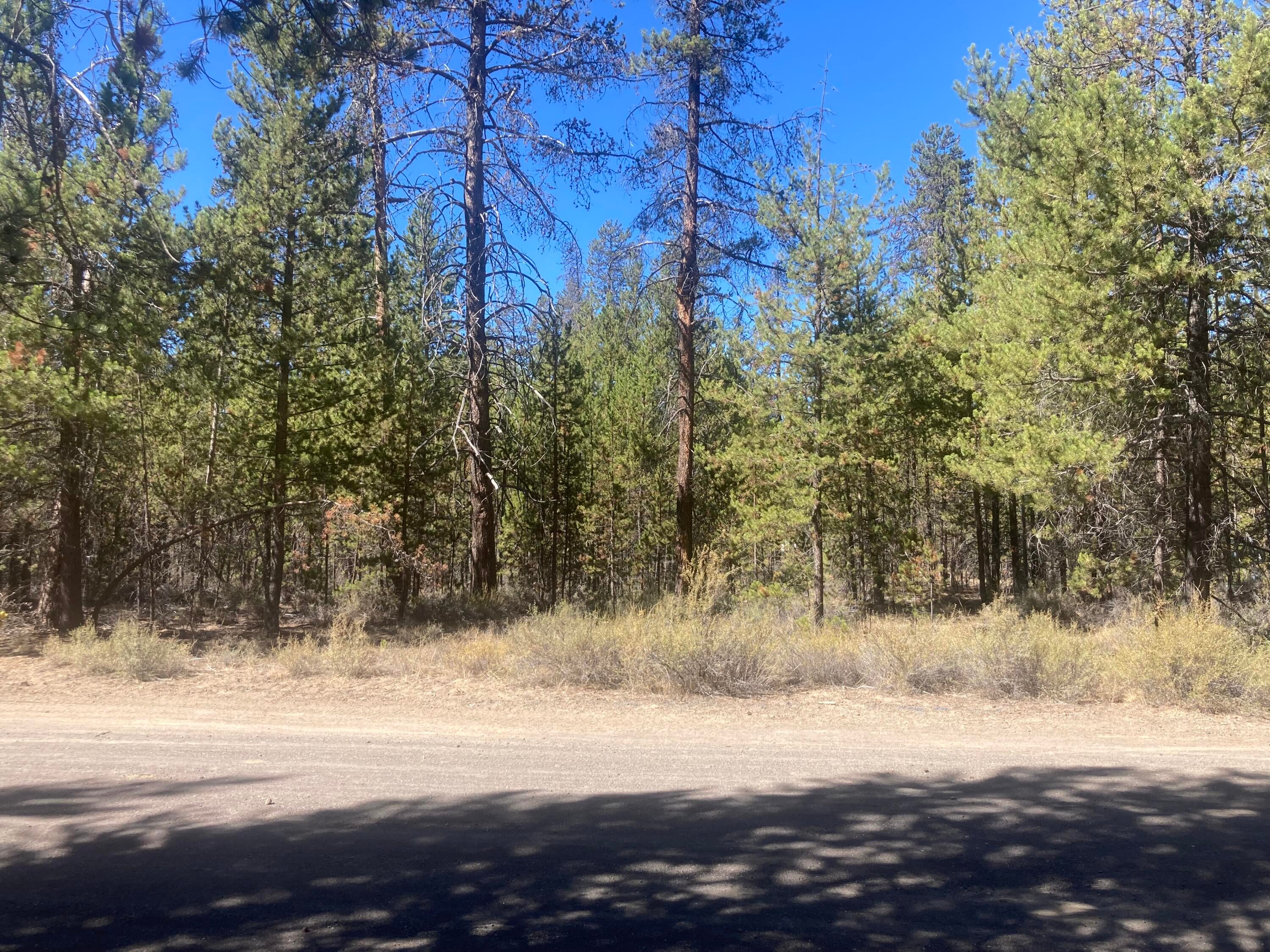 51440 Telegraph Road La Pine, OR 97739 - Photo 42 of 42 IMG_3353