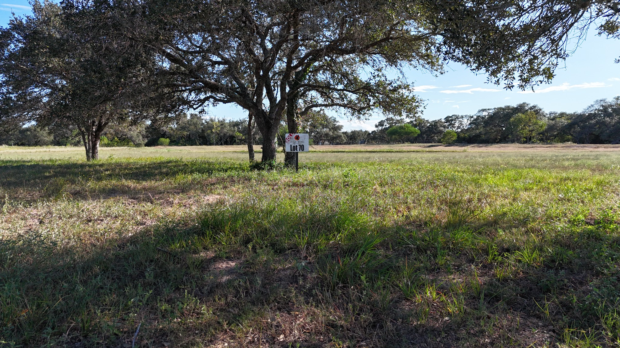 0 Gadwall Lane Columbus, TX 78934 - Photo 14 of 17 a view of backyard with large trees