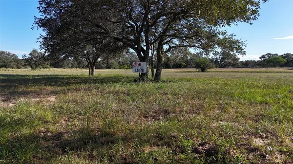 a view of backyard with large trees