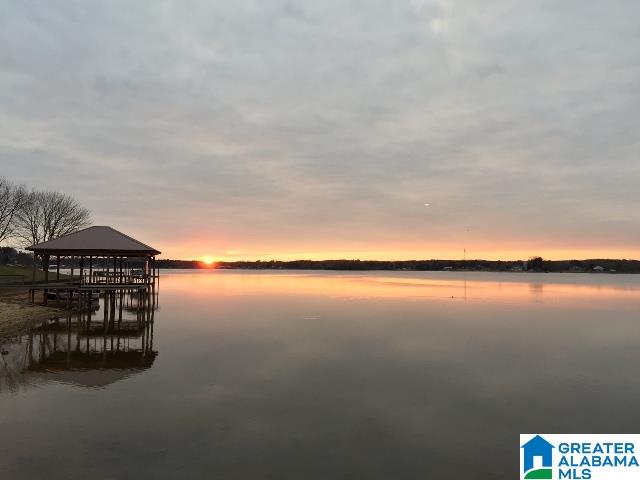 204 Viewpoint Circle Pell City, AL 35128 - Photo 3 of 49