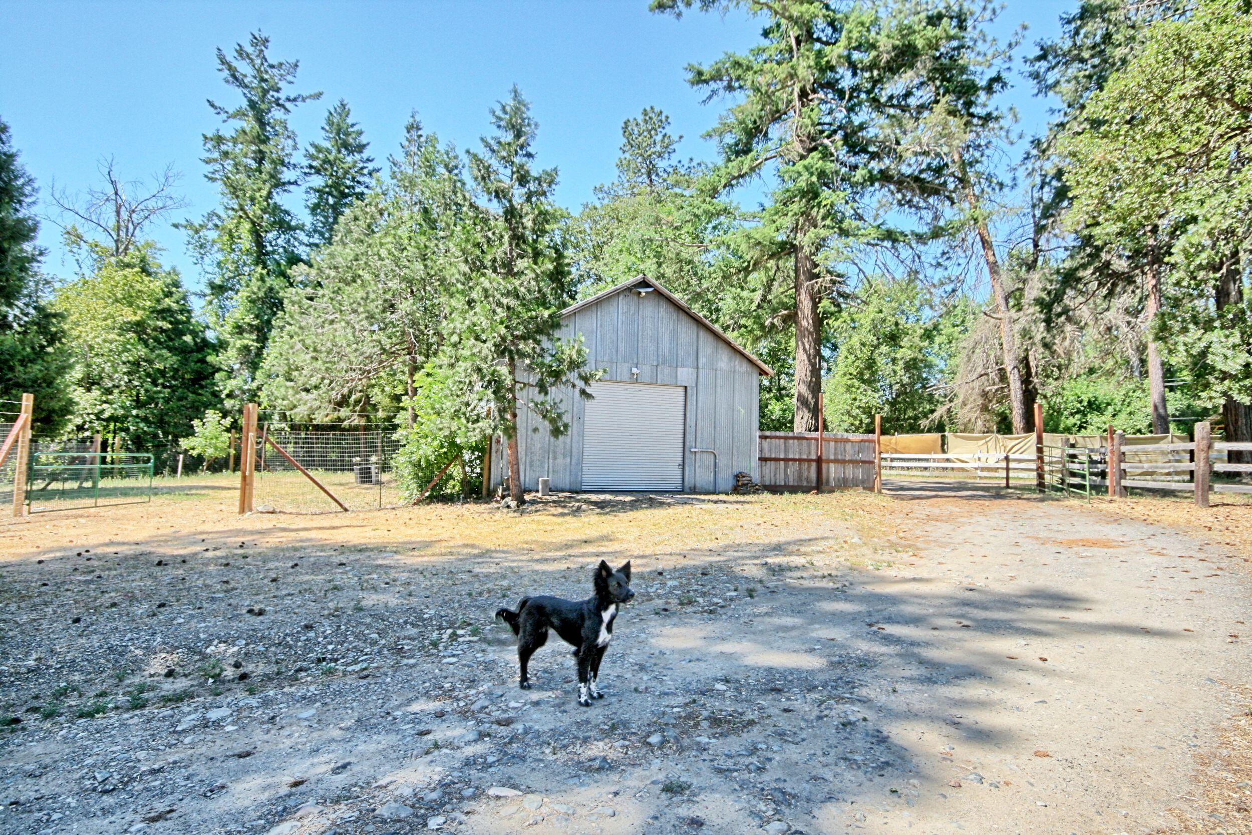 199 Powell Creek Road Williams, OR 97544 - Photo 56 of 57 a view of empty space with large trees