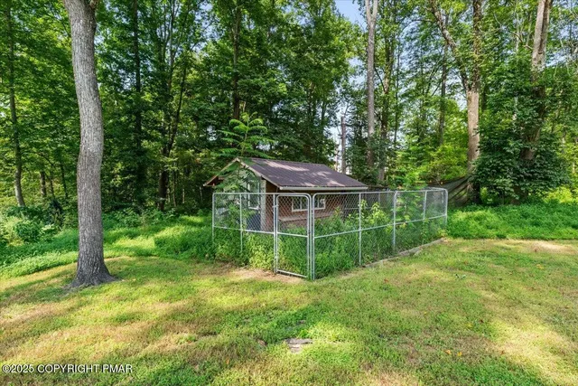 a view of a yard with a tree