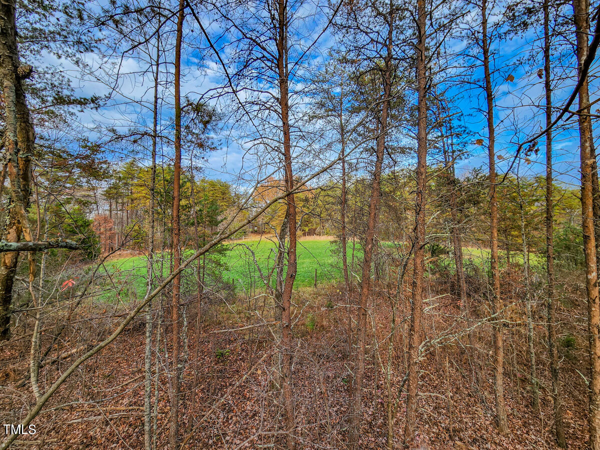 1254 Anglin Mill Road Stoneville, NC 27048 - Photo 51 of 92 49