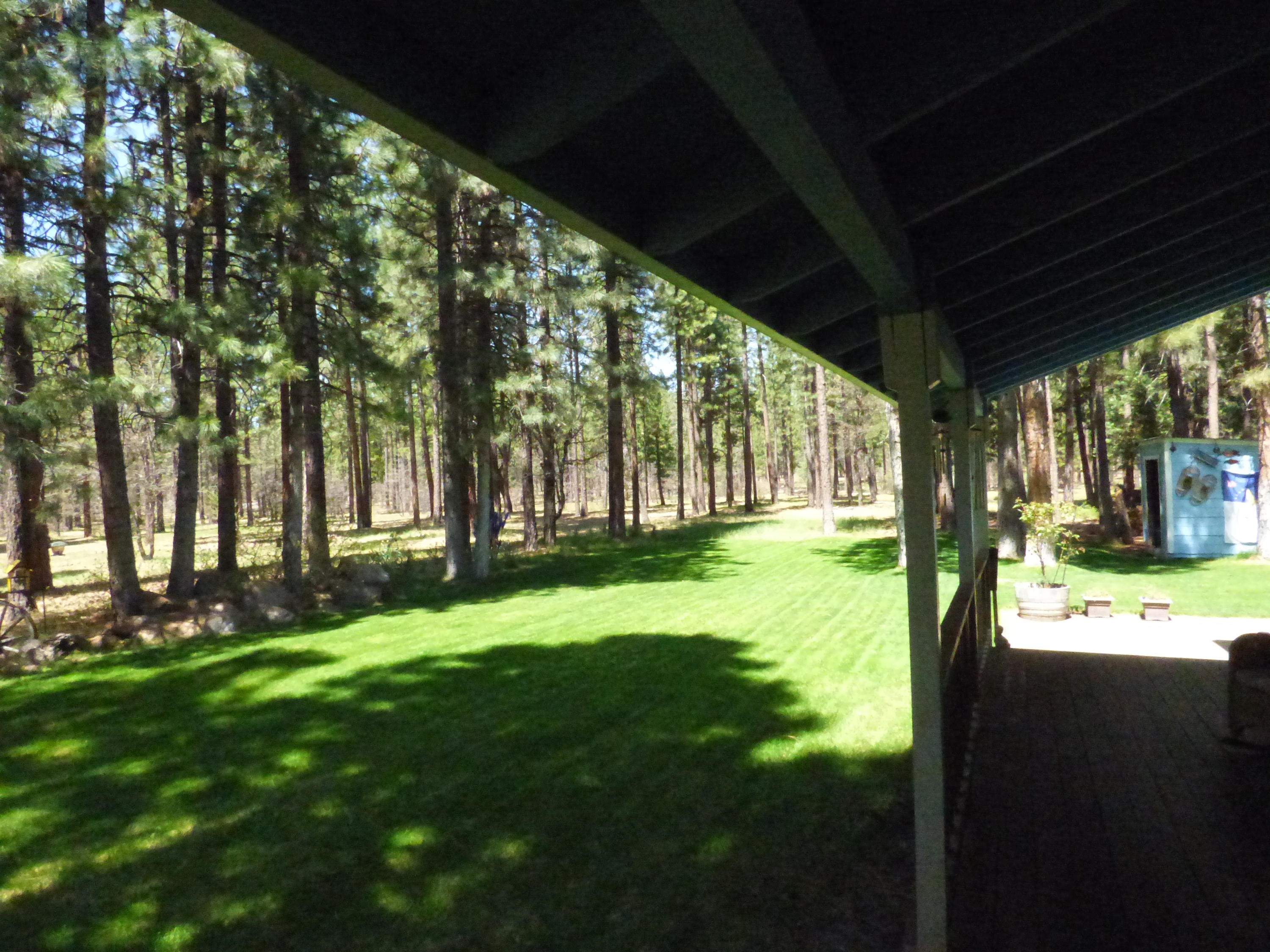 50 Red Rock Road McArthur, CA 96056 - Photo 20 of 24 a view of yard with green space