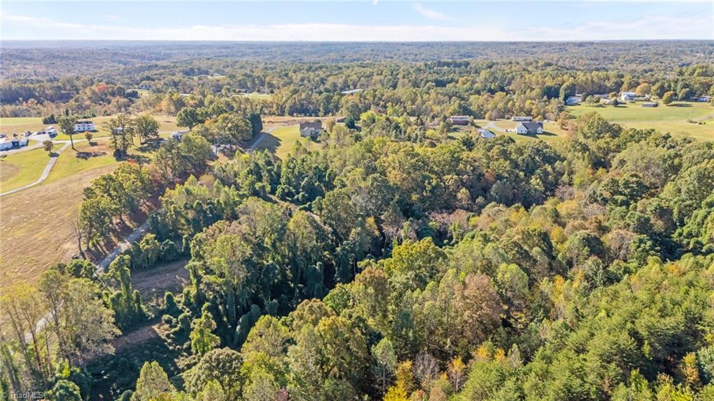 4.45-acres Gib Ferguson Road King, NC 27021 - Photo 18 of 22