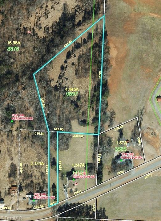 4.45-acres Gib Ferguson Road King, NC 27021 - Photo 3 of 22