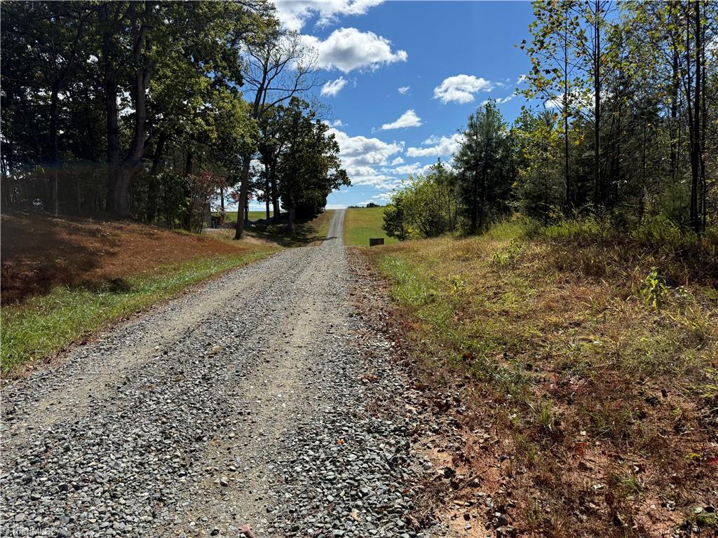 4.45-acres Gib Ferguson Road King, NC 27021 - Photo 5 of 22