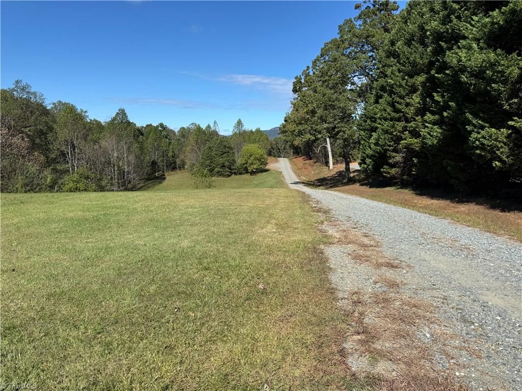 4.45-acres Gib Ferguson Road King, NC 27021 - Photo 7 of 22