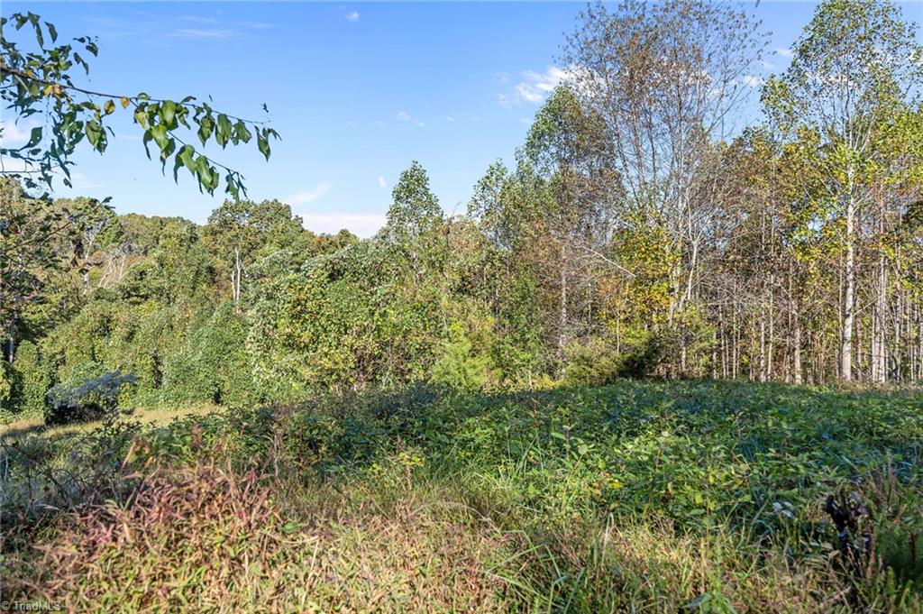 4.45-acres Gib Ferguson Road King, NC 27021 - Photo 8 of 22