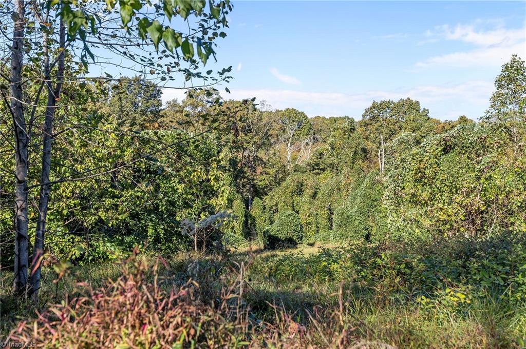 4.45-acres Gib Ferguson Road King, NC 27021 - Photo 9 of 22