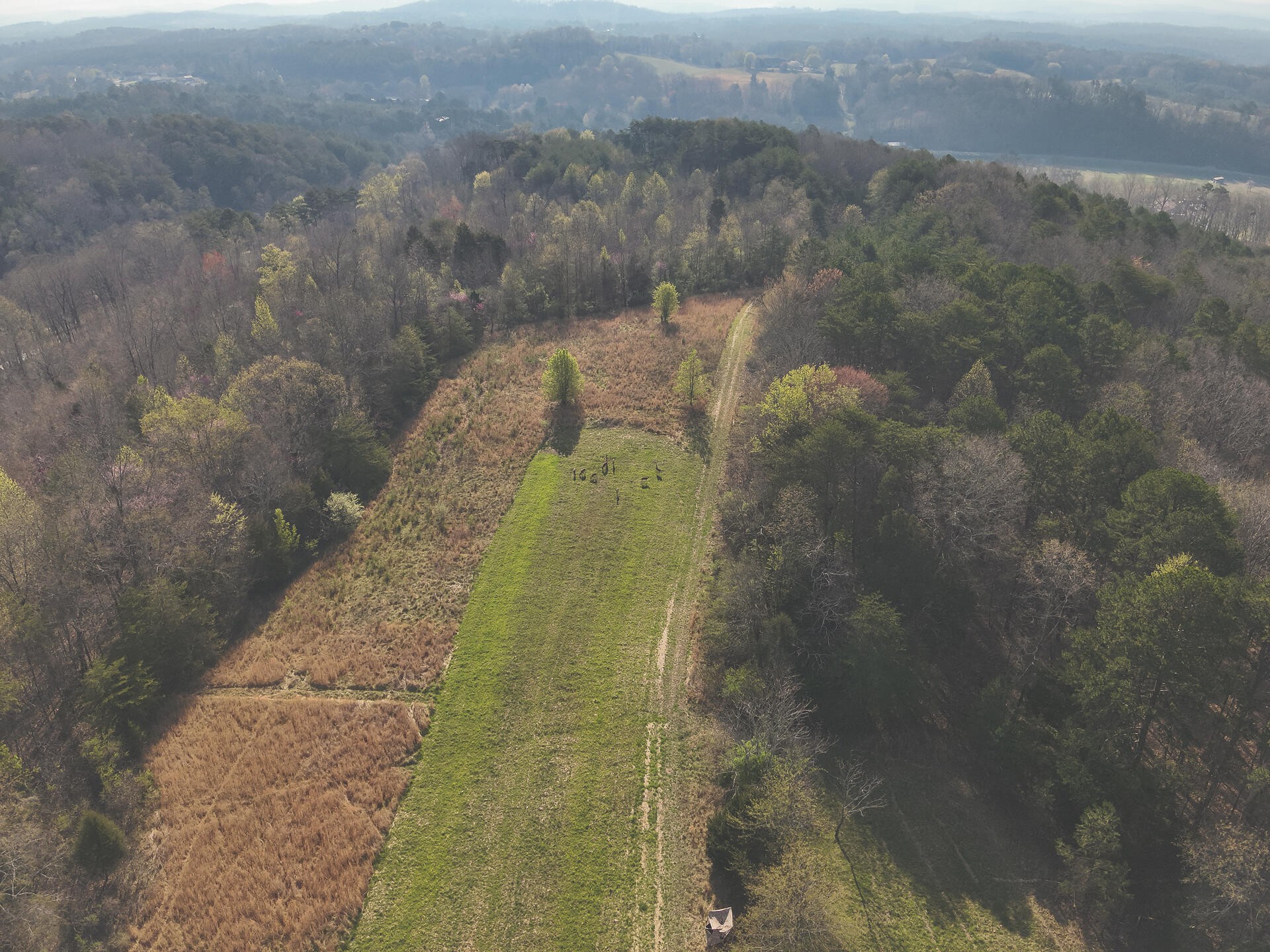 527 Dyer Hollow Road Dayton, TN 37321 - Photo 54 of 61 Gallery Image 54