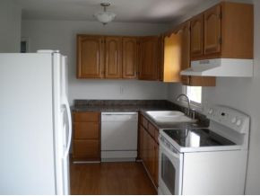 1045 Pigeon Hollow Road Afton, TN 37616 - Photo 2 of 7 Cozy Kitchen