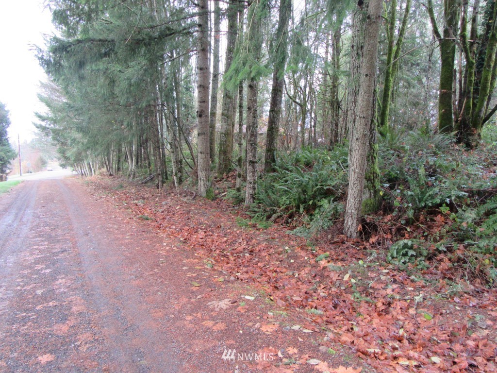 0 Highline Drive Chehalis, WA 98532 - Photo 2 of 6