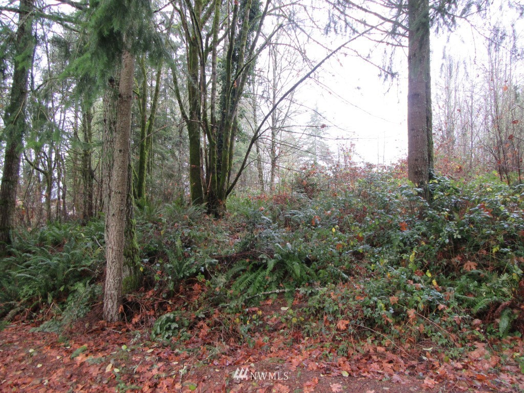 0 Highline Drive Chehalis, WA 98532 - Photo 3 of 6