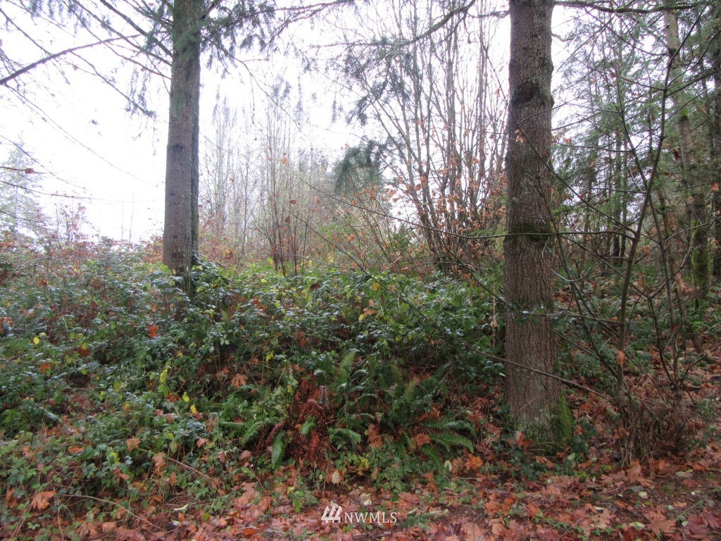 0 Highline Drive Chehalis, WA 98532 - Photo 4 of 6