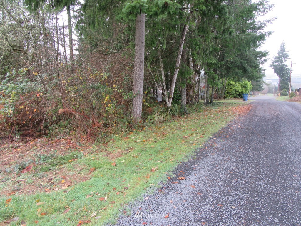 0 Highline Drive Chehalis, WA 98532 - Photo 5 of 6
