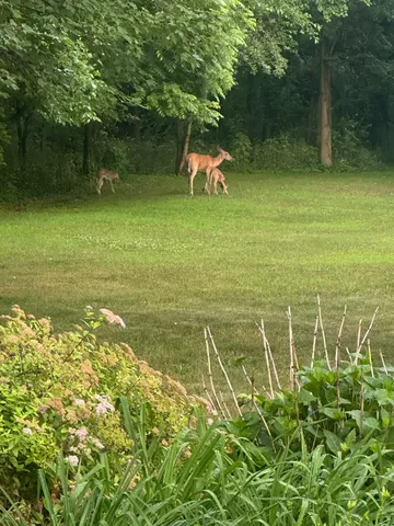 $520,000 | 6396 Rs Avenue East, Scotts, MI 49088