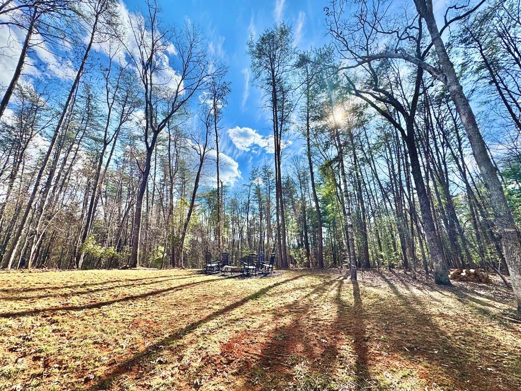 1001 Sunset Road Epworth, GA 30541 - Photo 19 of 34 a view of under a large tree