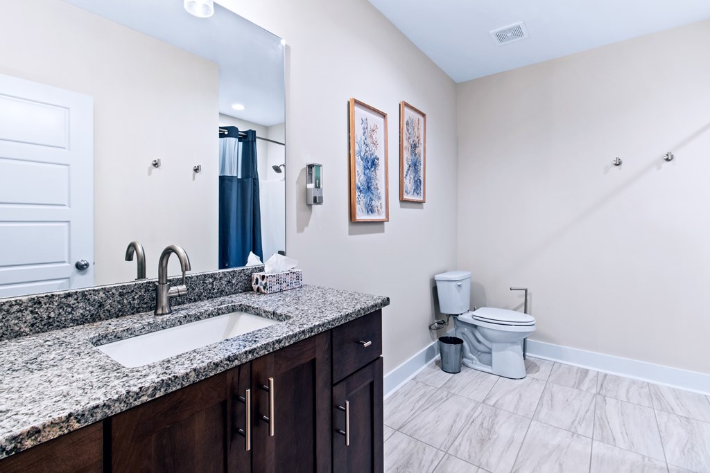 1001 Sunset Road Epworth, GA 30541 - Photo 32 of 34 a bathroom with a granite countertop toilet sink and mirror