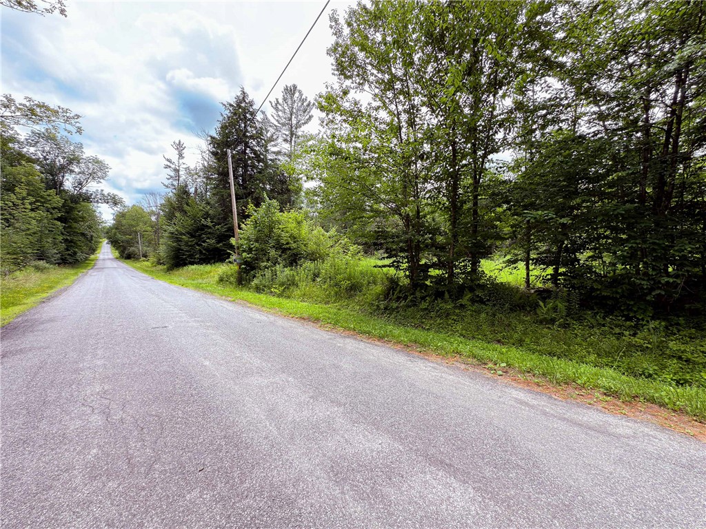 Sheff Road South New Berlin, NY 13843 - Photo 22 of 35