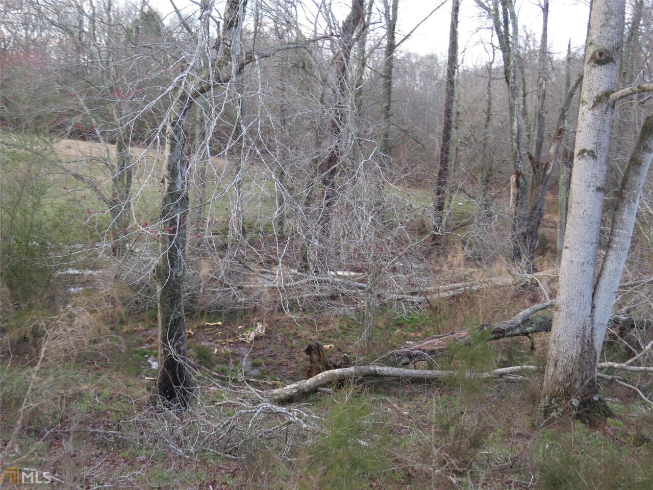 0 Mcdonald Road, Unit 10 AC Covington, GA 30014 - Photo 1 of 1 Gallery Image 1