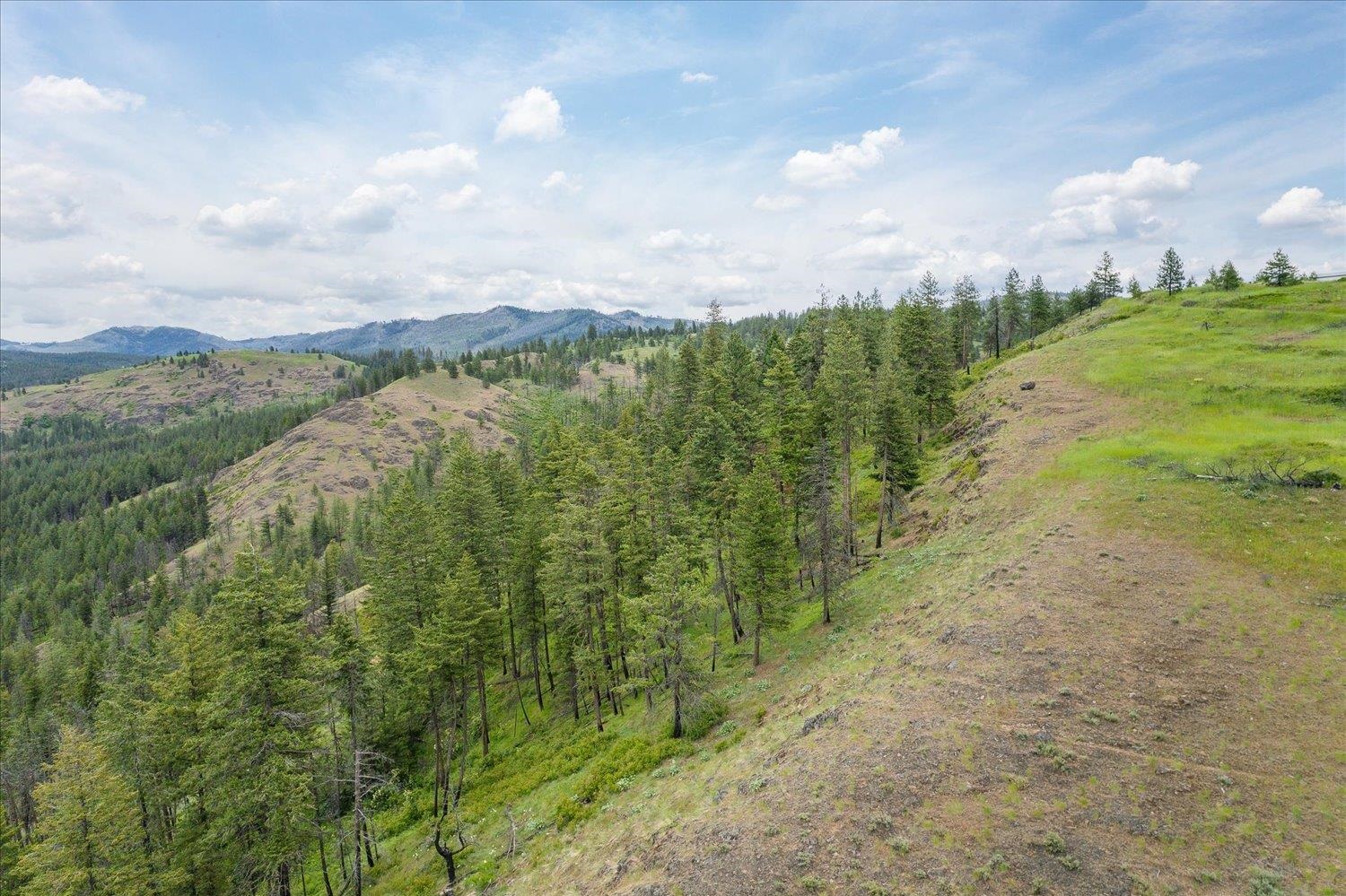 6045 X Carpenter Road Fruitland, WA 99129 - Photo 14 of 30 Gallery Image 14