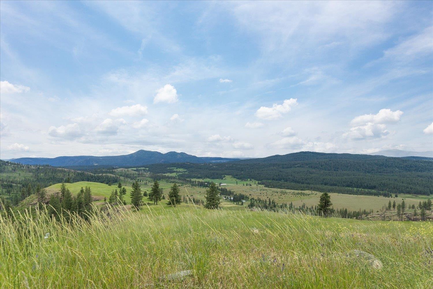 6045 X Carpenter Road Fruitland, WA 99129 - Photo 25 of 30 Gallery Image 25