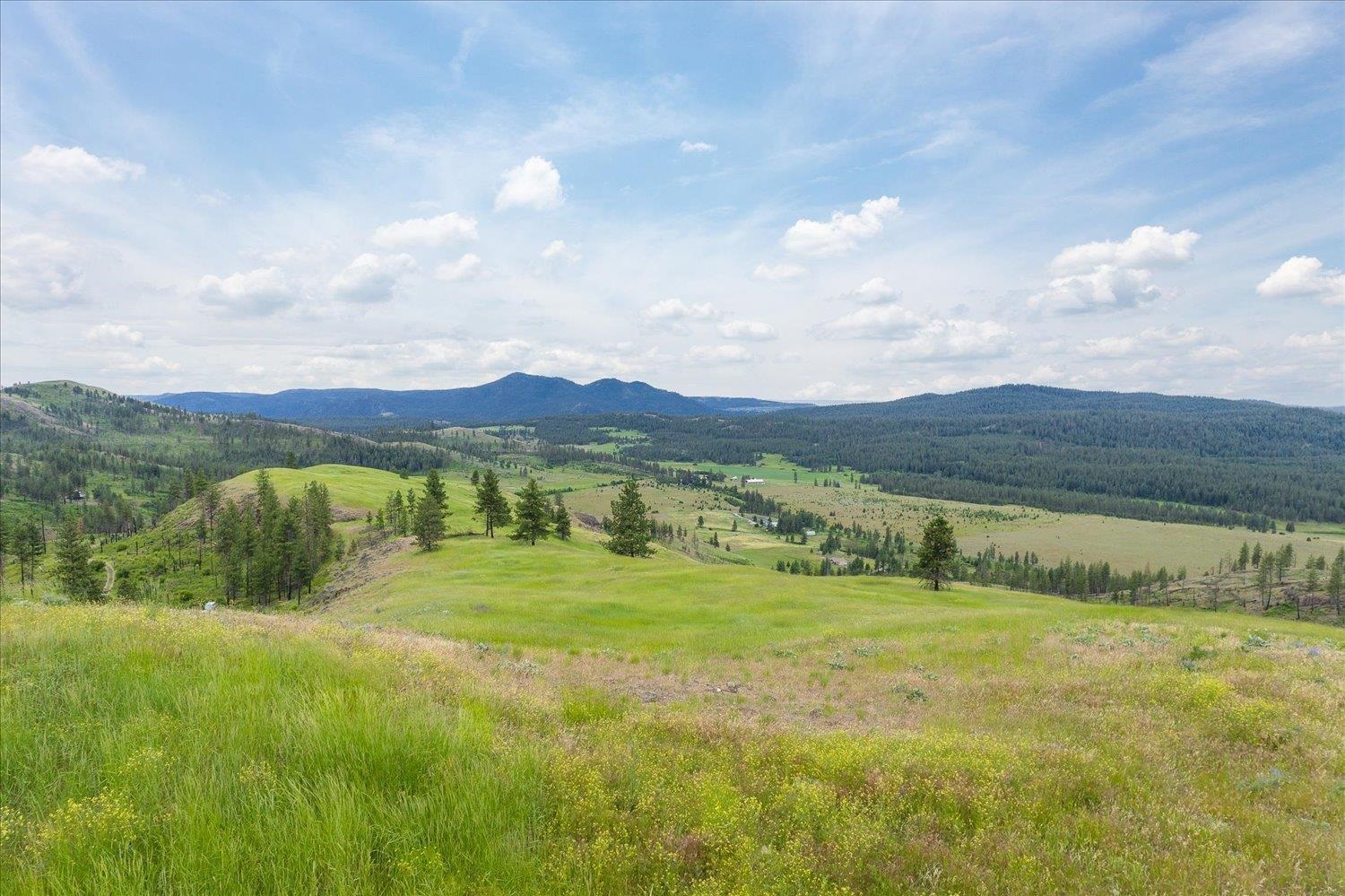 6045 X Carpenter Road Fruitland, WA 99129 - Photo 27 of 30 Gallery Image 27