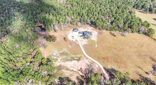 a view of a yard in a forest