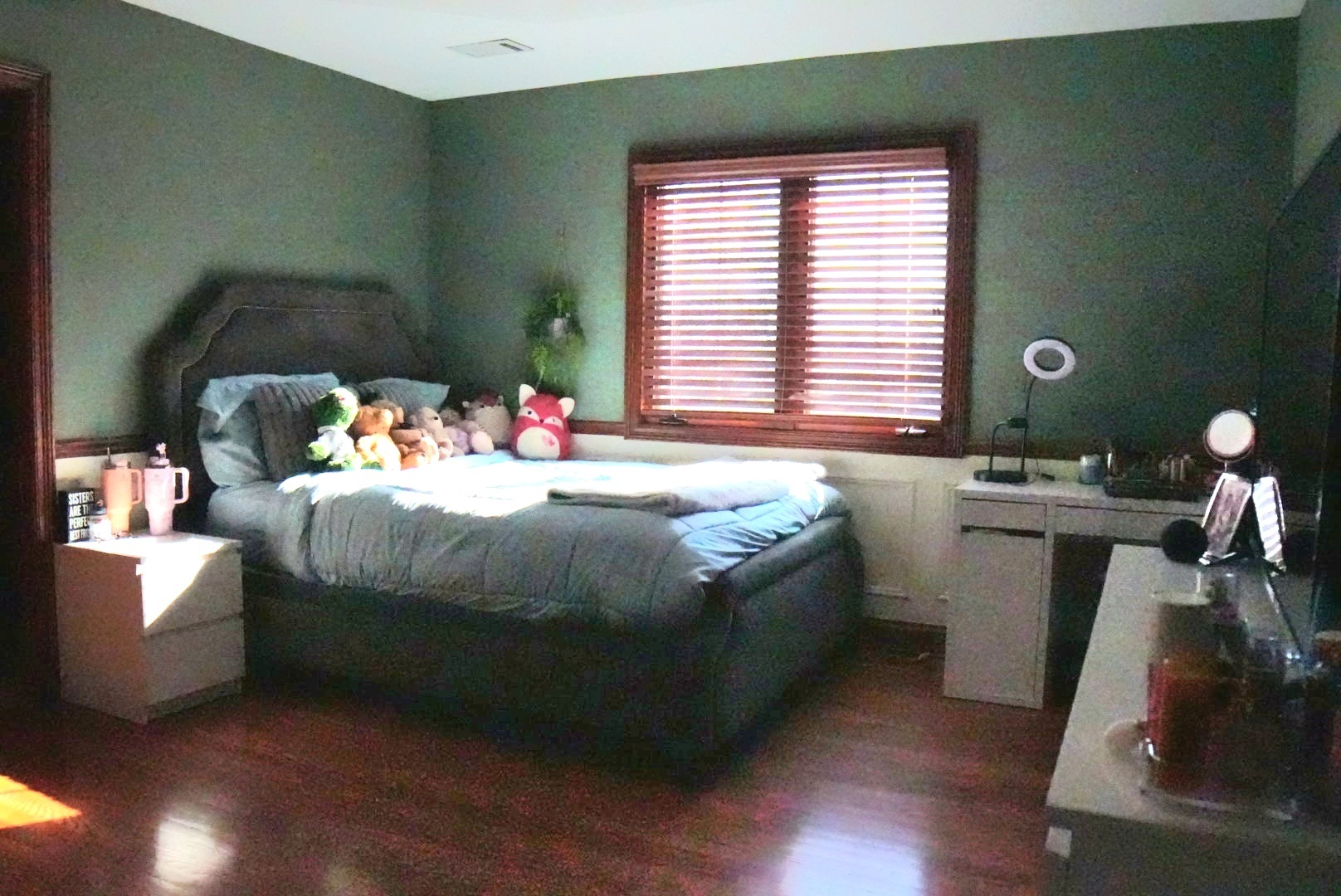 11759 Azure Drive Frankfort, IL 60423 - Photo 29 of 49